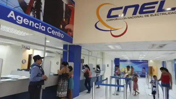 Mafia en CNEL habría desviado $ 28 millones en 2025: red operó más de una década, según el Gobierno