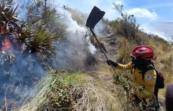 Dos incendios forestales continúan activos en Imbabura y Loja